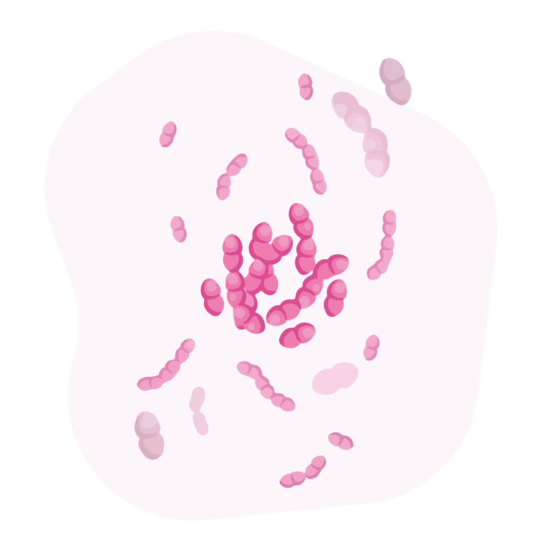 illustrazione batteri probiotici