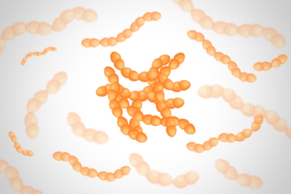 Illustrazione dei Streptococcus