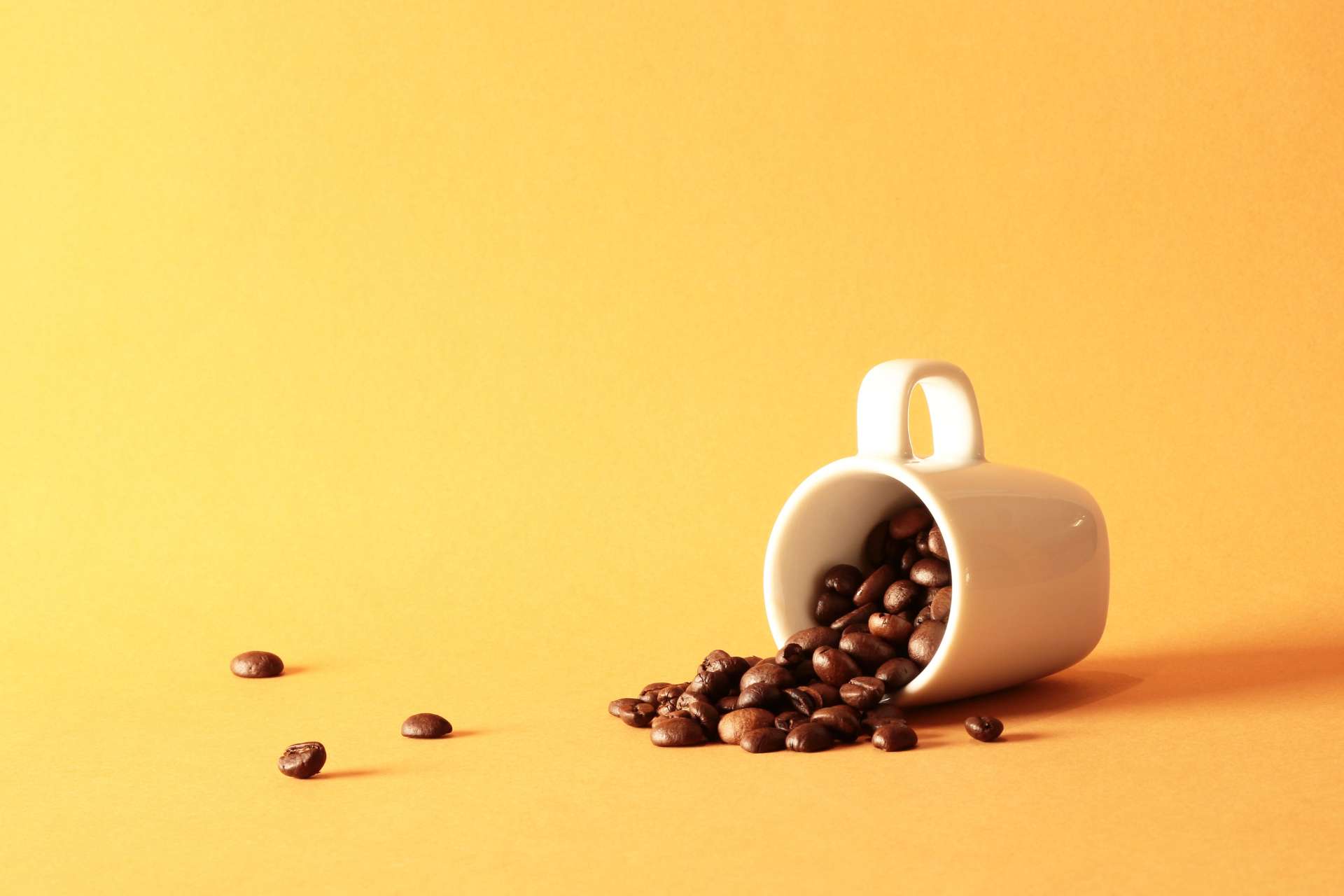Effetti del caffè sul microbiota intestinale e sull’asse intestino-cervello