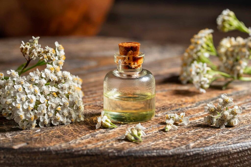 Fiori di achillea millefoglie e una bottiglietta di tintura madre su un tavolo di legno