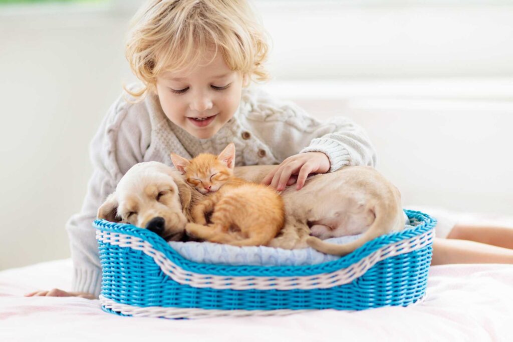 Bambino che gioca con un cucciolo di cane e un cucciolo di gatto