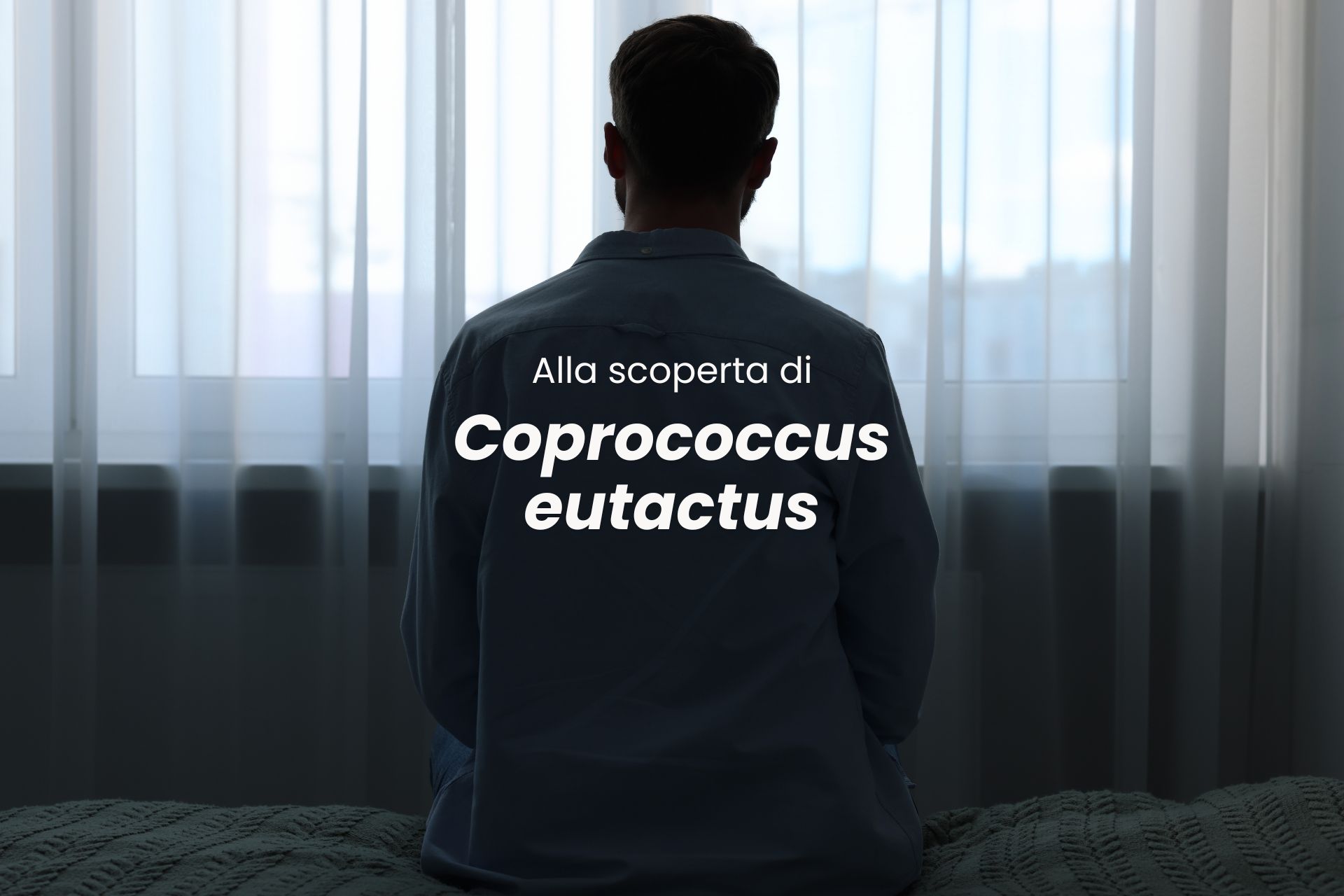 Coprococcus eutactus: psicobiotico del futuro. Potrebbe sconfiggere la depressione