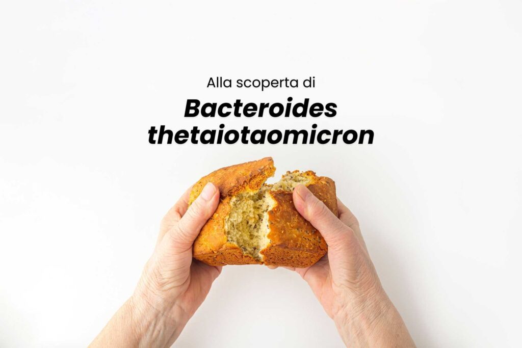 mani che spezzano una pagnotta di pane