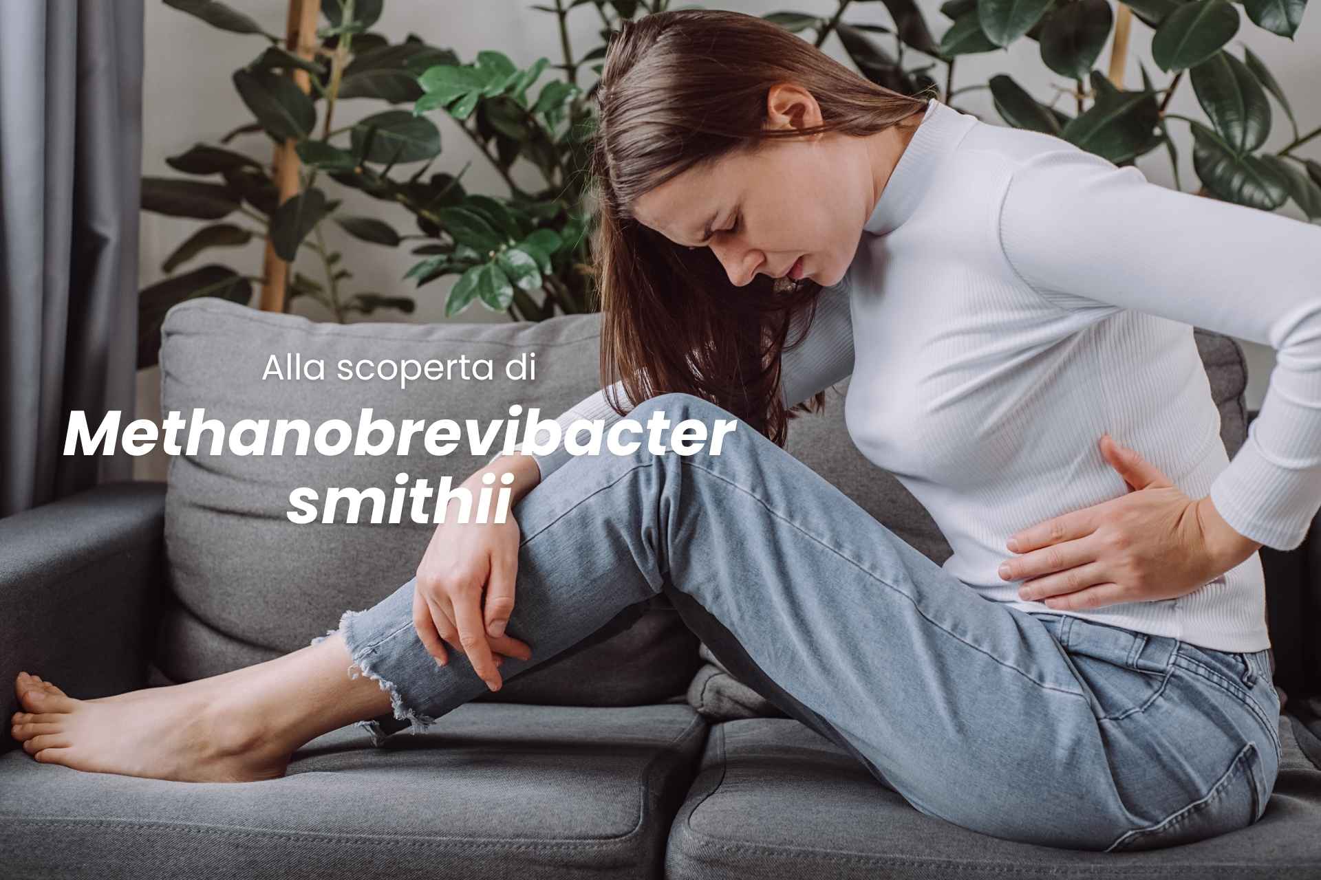 Methanobrevibacter smithii, microbo intestinale che causa meteorismo