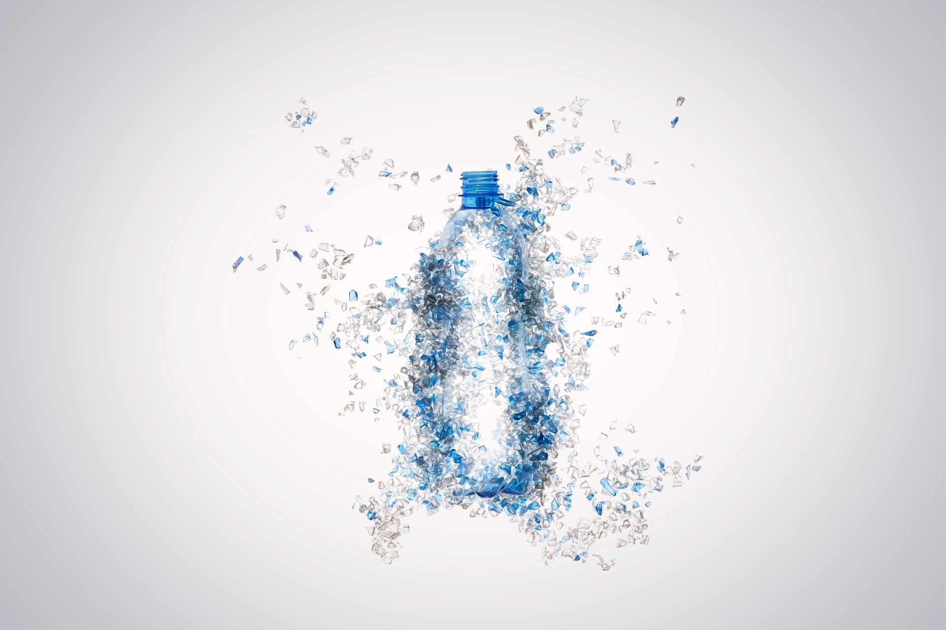 Dal mare all’intestino: le microplastiche stanno riscrivendo l’equilibrio del nostro microbiota