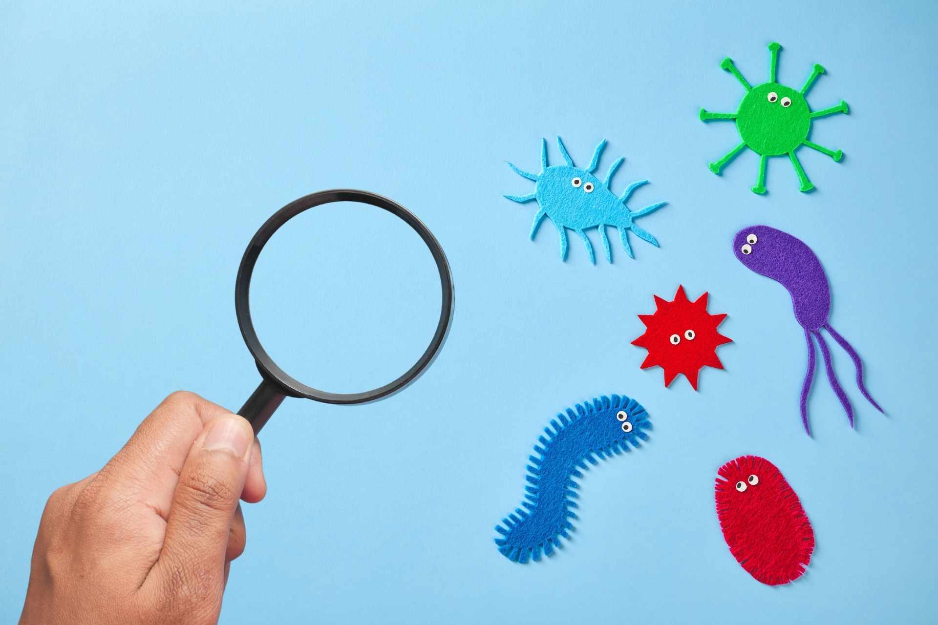 Giornata mondiale del microbiota: un’occasione per conoscere meglio i nostri microbi